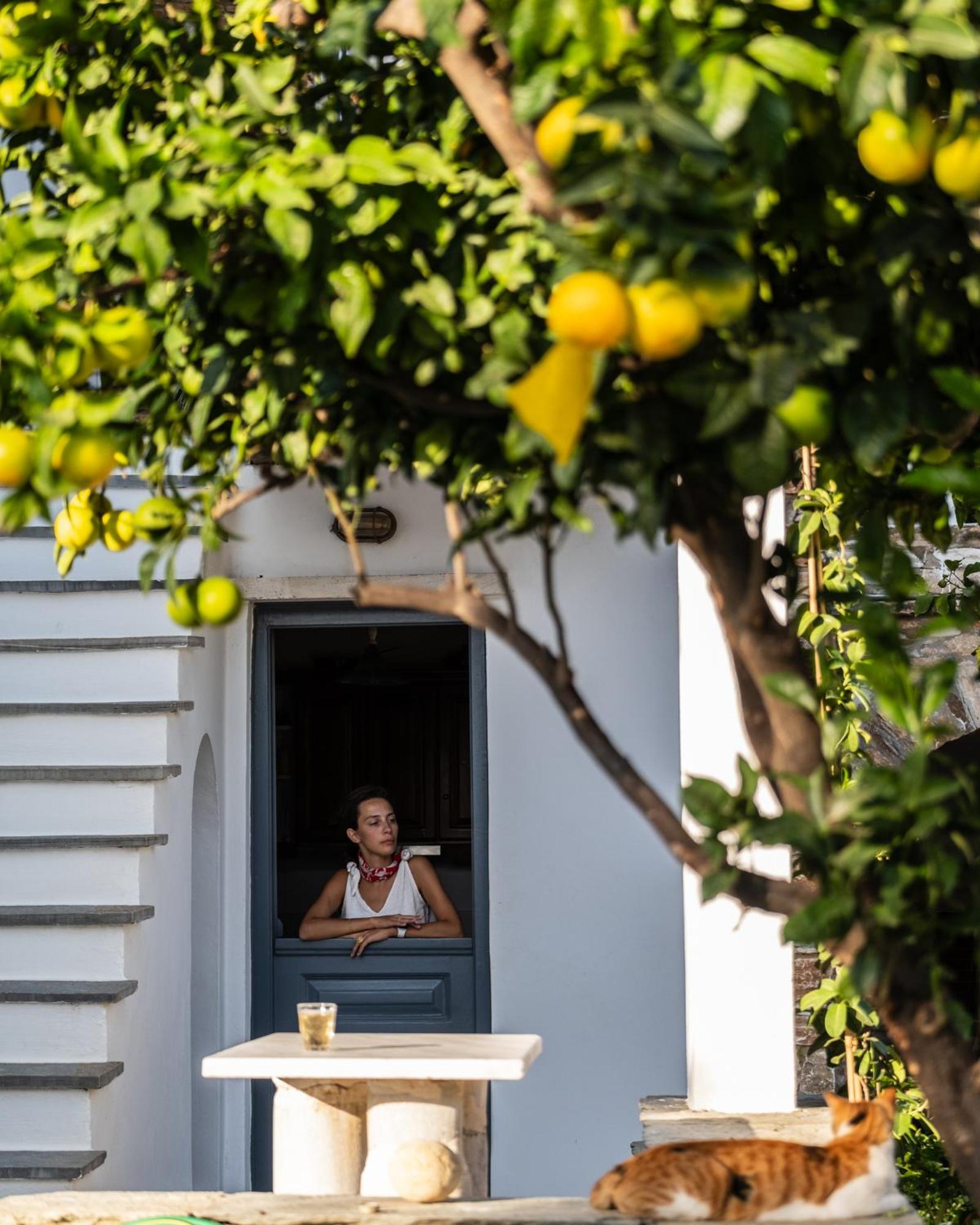 Romano Garden House - Land Tales Agios Romanos Exterior photo